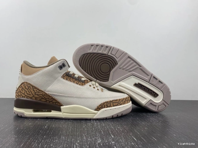 CT8532-102 3 Palomino Jordan Air 1010